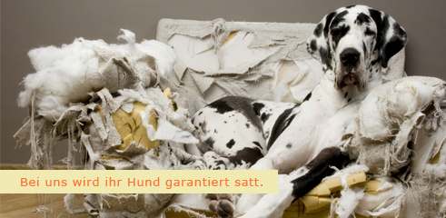 Barf für Hunde